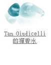 Tan Giudicelli