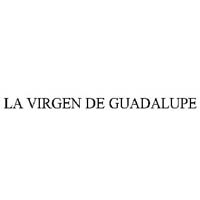 La Virgen De Guadalupe