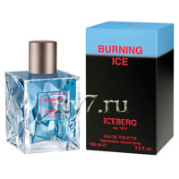 Iceberg Burning Ice