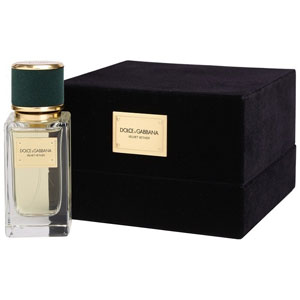 Dolce & Gabbana Velvet Vetiver