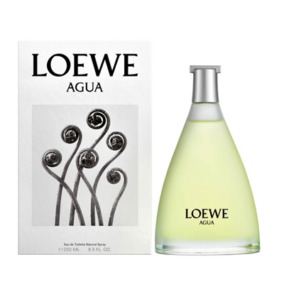 Agua De Loewe