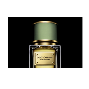 Dolce and gabbana clearance velvet bergamot price