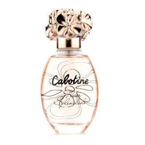 Gres Cabotine Fleur Splendide