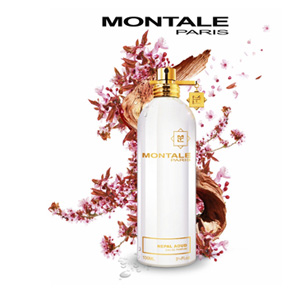 Montale Nepal Aoud