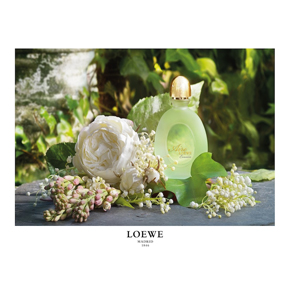Loewe Aire Evasion