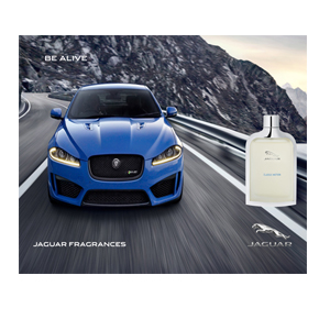 Jaguar Classic Motion