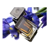 Christian Dior Dior Homme Parfum