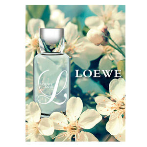 Loewe Loewe L Cool