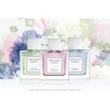 Vera Wang Embrace Periwinkle & Iris