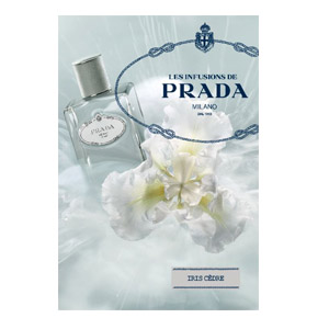 Prada Prada Infusion D`iris Cedre