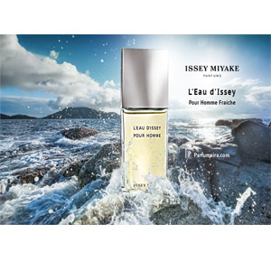 Issey Miyake L`Eau D`Issey pour Homme Fraiche