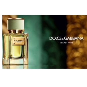 Dolce & Gabbana Velvet Pure