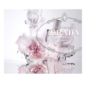Prada Infusion d`Oeillet