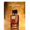 Dolce & Gabbana Velvet Amber Sun