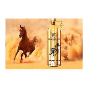 Montale Arabians