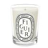 Figuier Candle