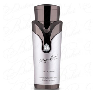 Armaf Magnificent Pour Homme