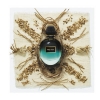 Alexander McQueen Vetiver Moss