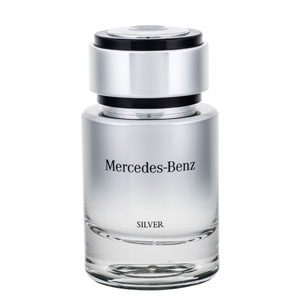 Mercedes-benz Mercedes-benz Silver