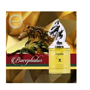 Sterling Parfums Armaf Niche Bucephalus No X