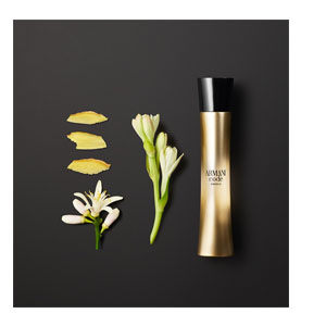 giorgio armani code absolu femme