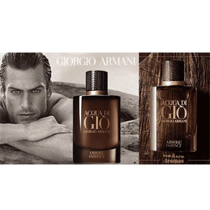 Giorgio Armani Acqua Di Gio Absolu Instinct