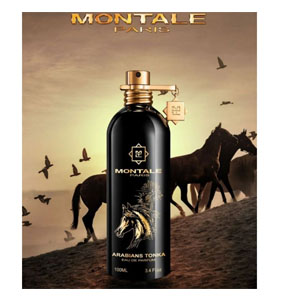 Montale Arabians Tonka