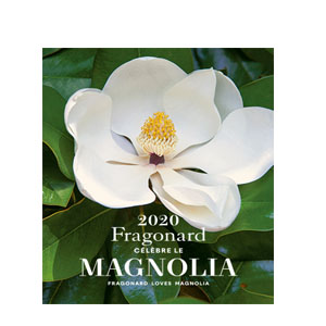 Fragonard Magnolia