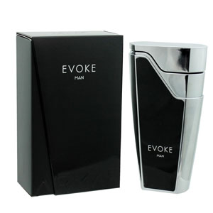 Sterling Parfums Armaf Evoke Man