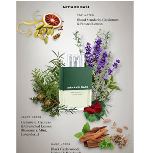 Armand Basi L`Eau Pour Homme Intense Vetiver