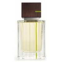 Victoria`s Secret Vertical For Men