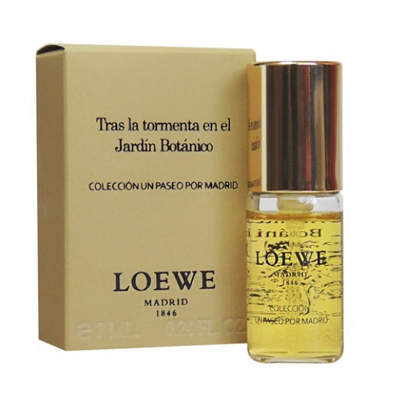 Loewe Tras la tormenta en el Jardin Botanico