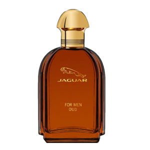 Jaguar Jaguar For Men Oud