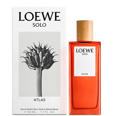 Loewe Solo Atlas