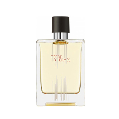 Hermes Terre d`Hermes Flacon H 2021 Eau de Toilette