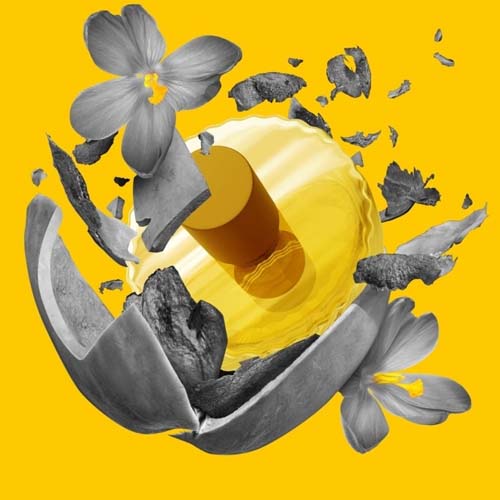 Vilhelm Parfumerie Faces of Francis