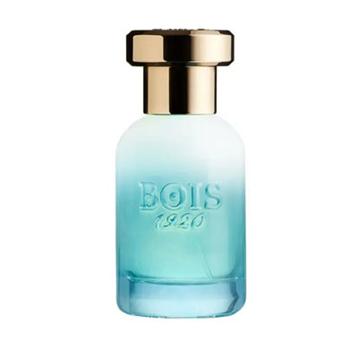 Bois 1920 Marasma