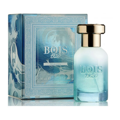 Bois 1920 Marasma