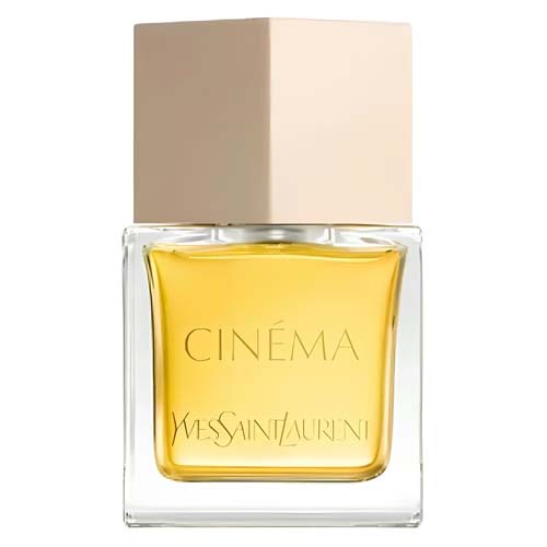 Yves Saint Laurent Cinema 2024