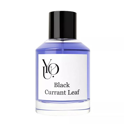 Black Currant Leaf