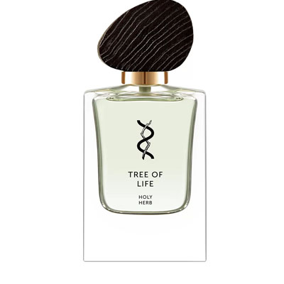 Tree Of Life Holy Herb
