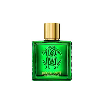 Roberto Cavalli Uomo Verde Assoluto