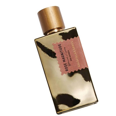 Goldfield & Banks Australia Rose Magnitude