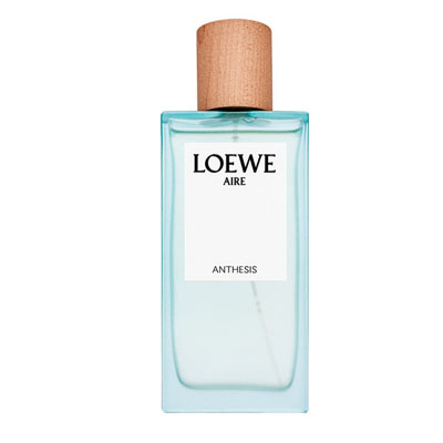 Loewe Anthesis