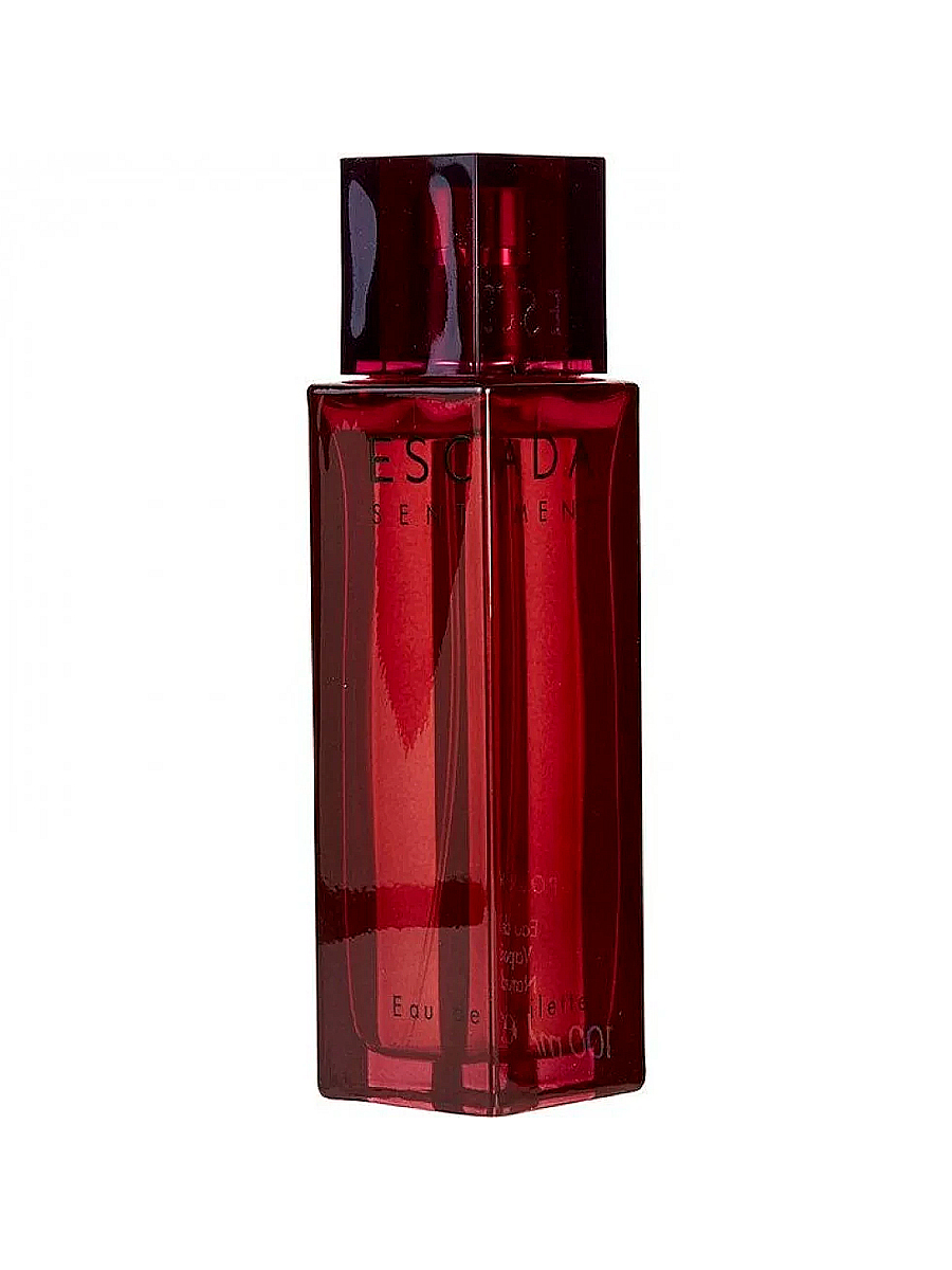 Escada Sentiment pour Homme