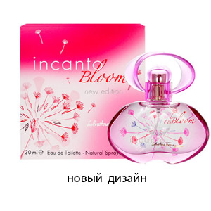 Incanto Bloom