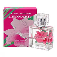 L`Orchidee