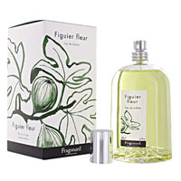 Figuier Fleur