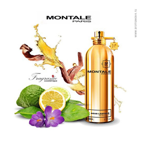 Montale Aoud Leather