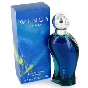 Wings for Men